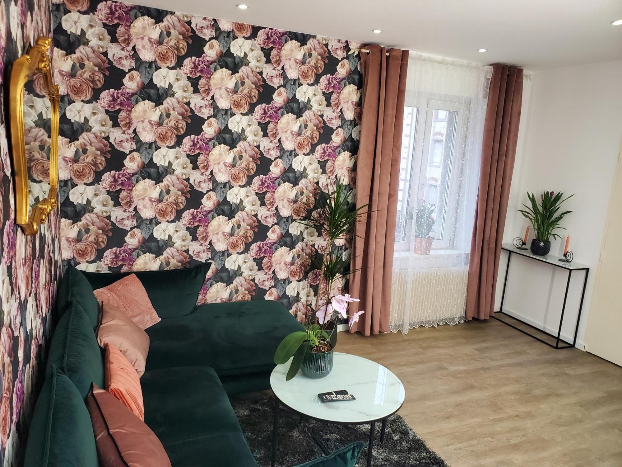 Mirka & Franck Apartment Chic 4 Stars Parking Free Colmar Kültér fotó