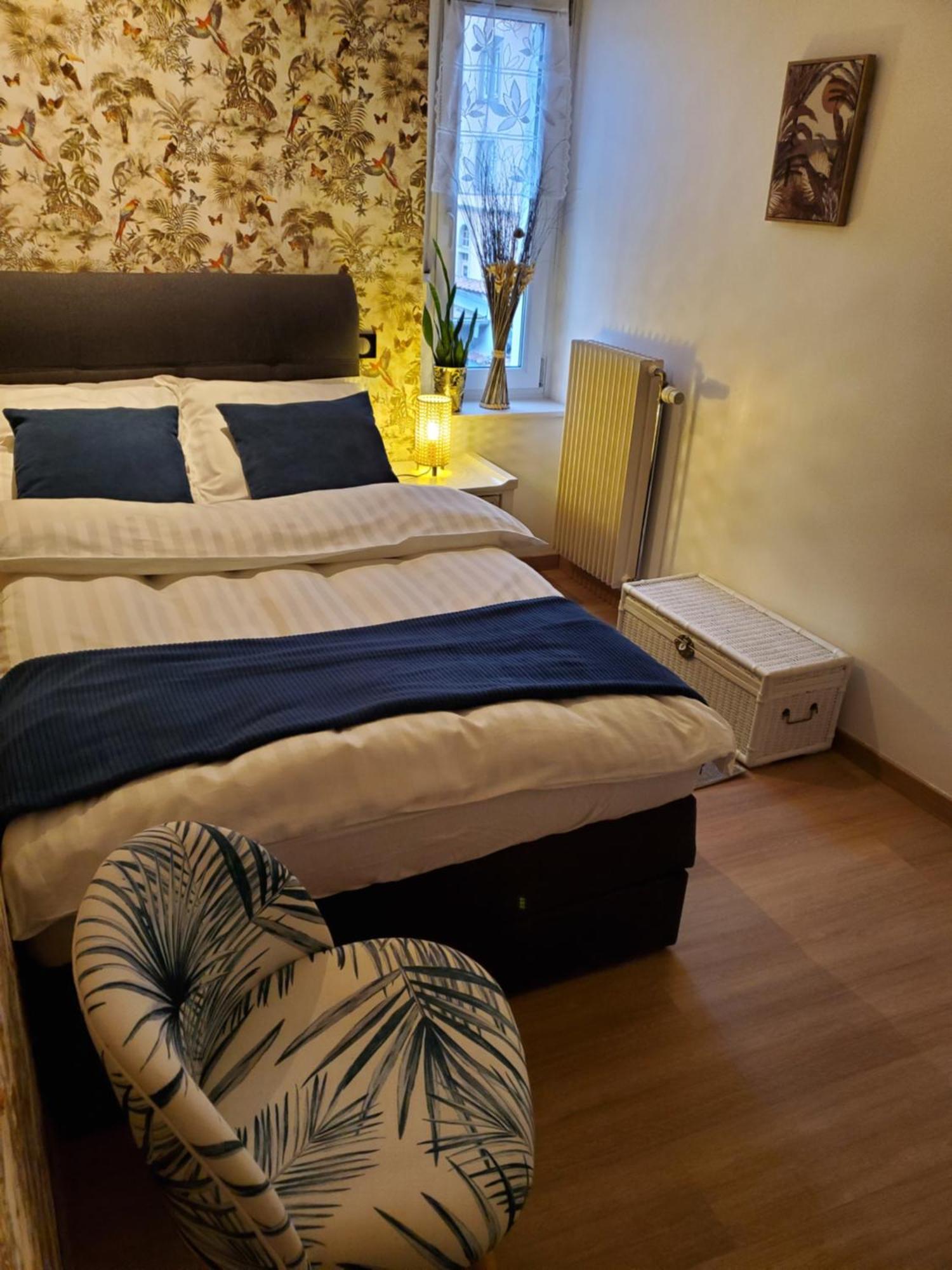 Mirka & Franck Apartment Chic 4 Stars Parking Free Colmar Kültér fotó